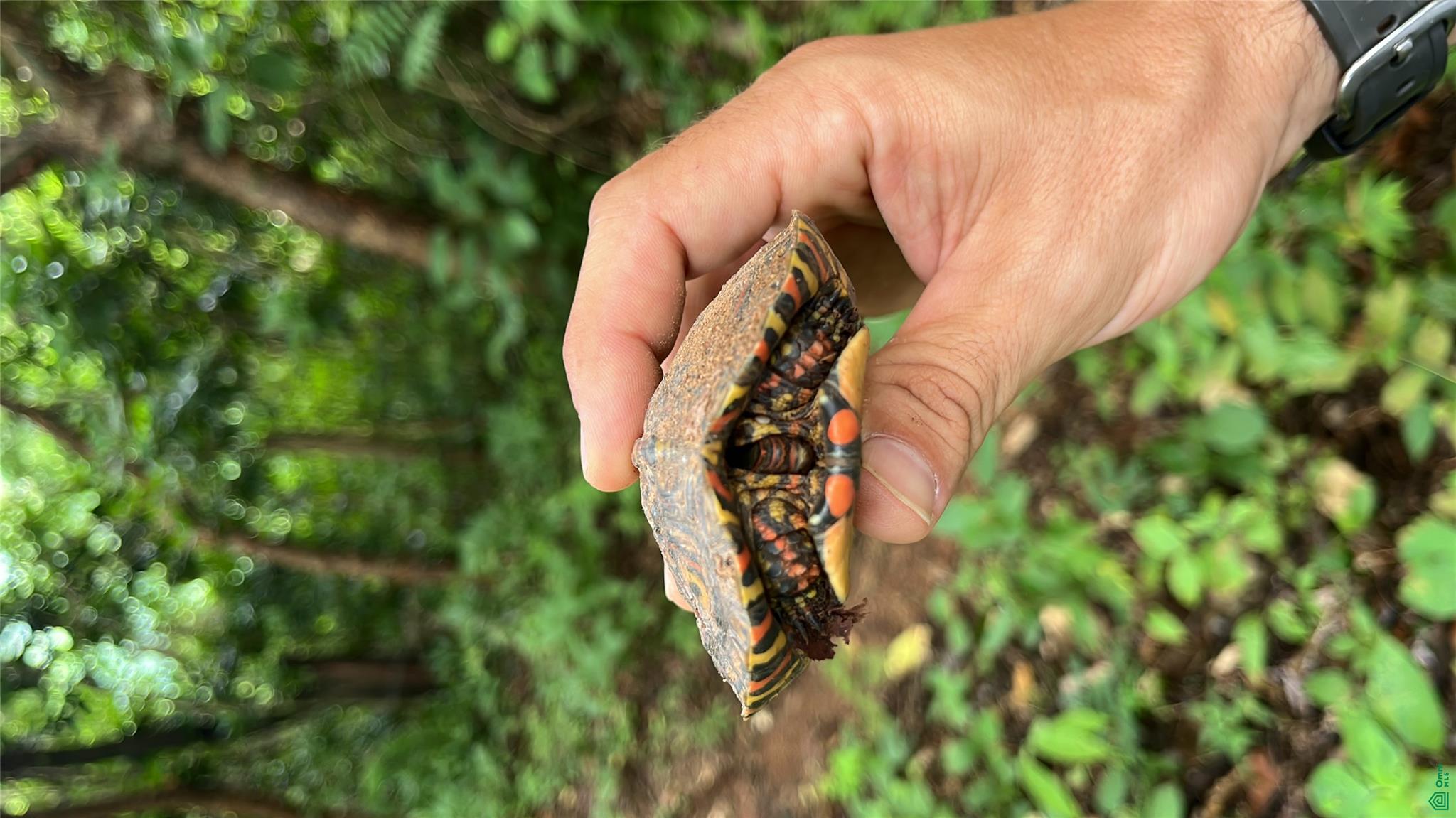 Finca Naranjalito Hills , Sámara, Guanacaste