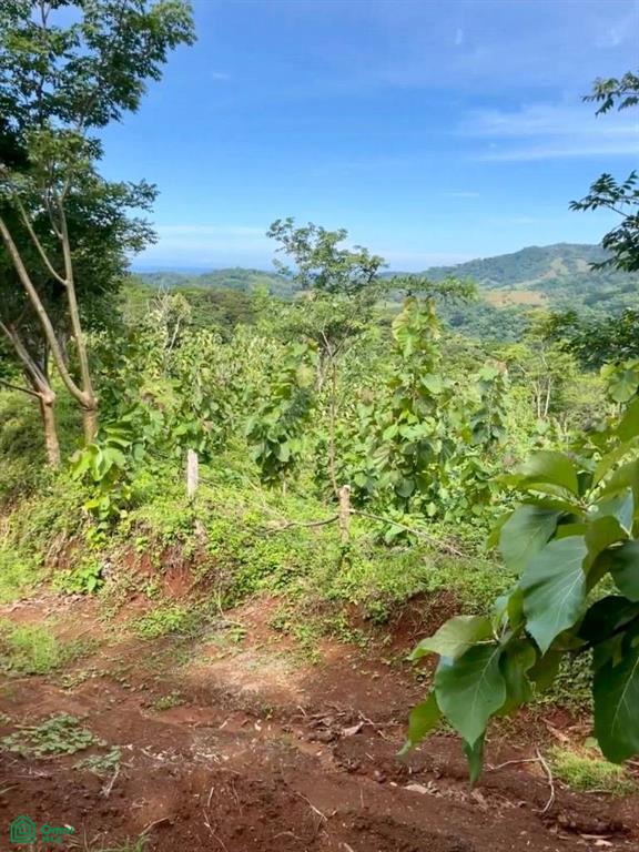 Finca Naranjalito Hills , Sámara, Guanacaste