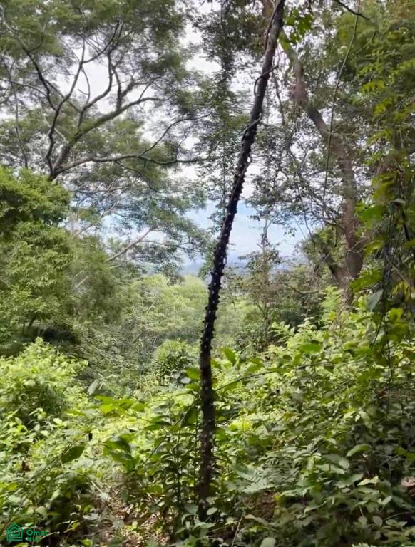 Finca Naranjalito Hills , Sámara, Guanacaste
