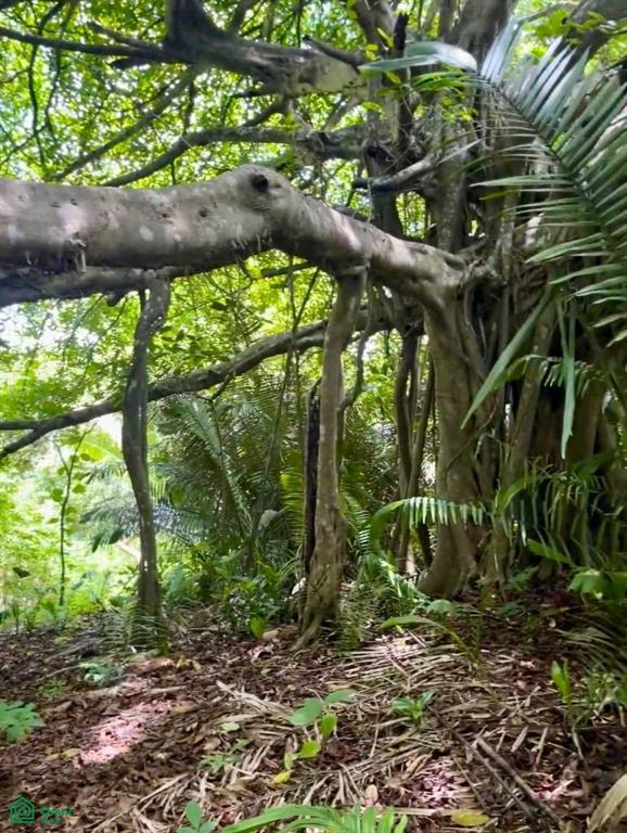 Finca Naranjalito Hills , Sámara, Guanacaste