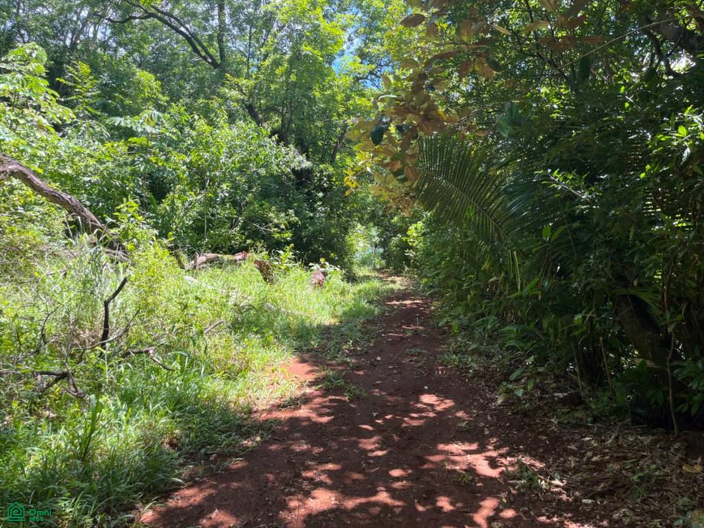 Finca Naranjalito Hills , Sámara, Guanacaste