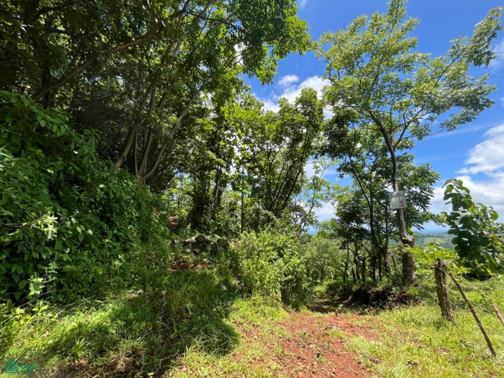 Finca Naranjalito Hills , Sámara, Guanacaste