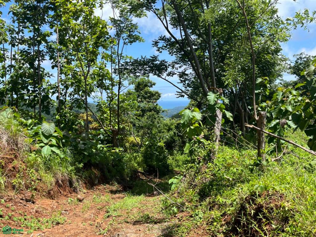 Finca Naranjalito Hills , Sámara, Guanacaste