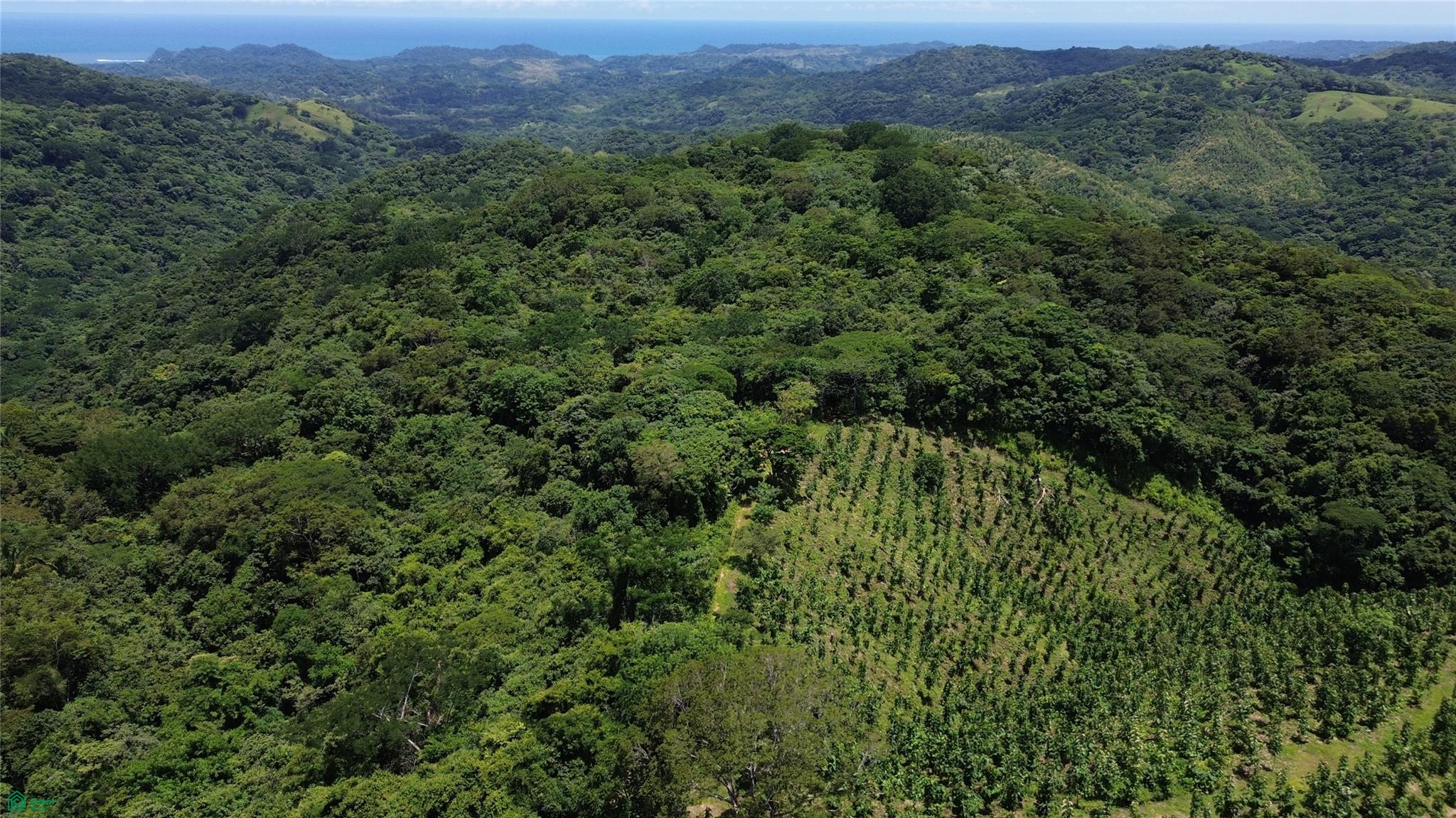 Finca Naranjalito Hills , Sámara, Guanacaste