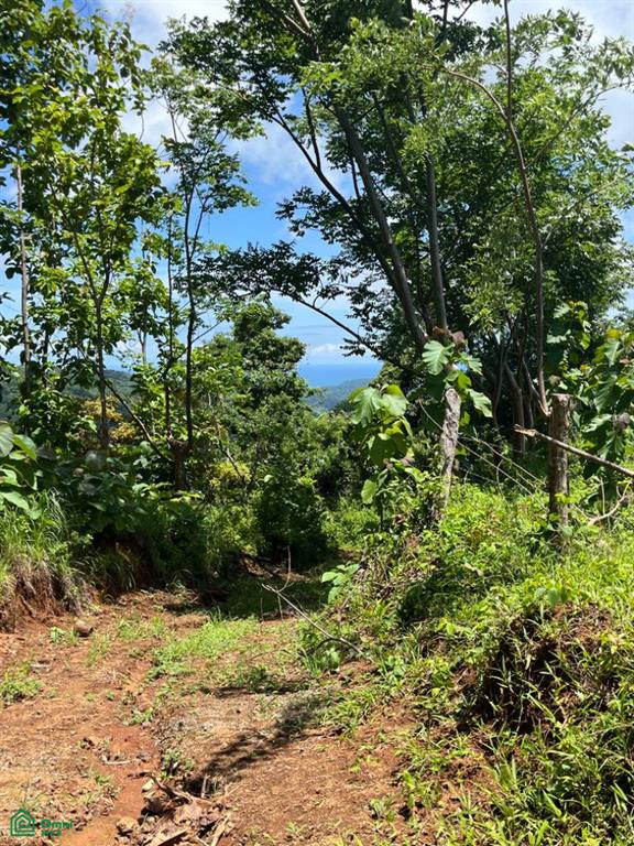 Finca Naranjalito Hills , Sámara, Guanacaste