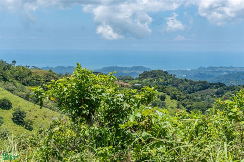 Casa Tosh , Belén de Nosarita, Guanacaste
