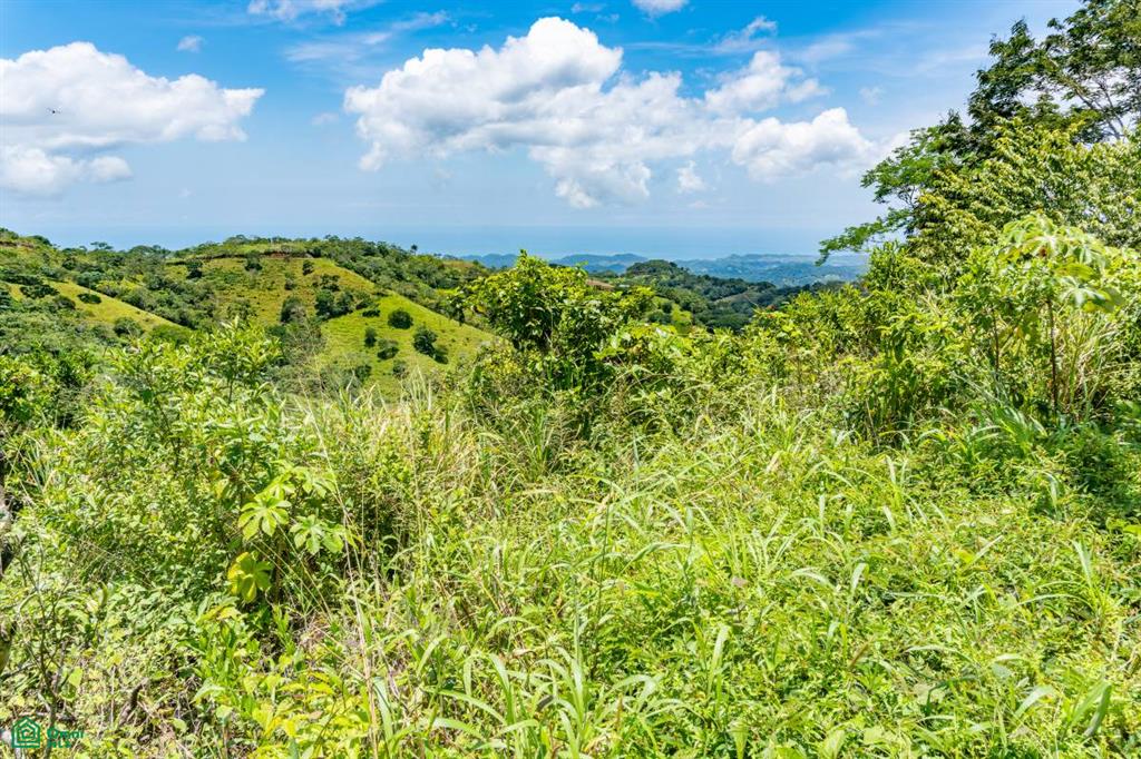 Casa Tosh , Belén de Nosarita, Guanacaste
