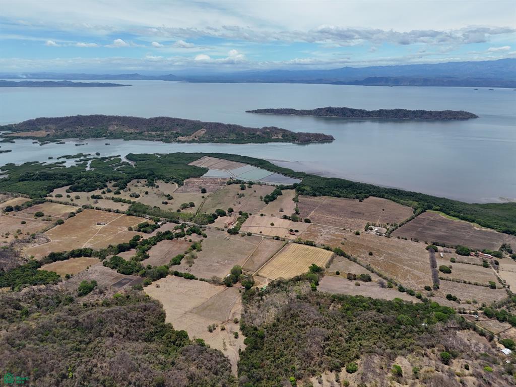 Loma Verde