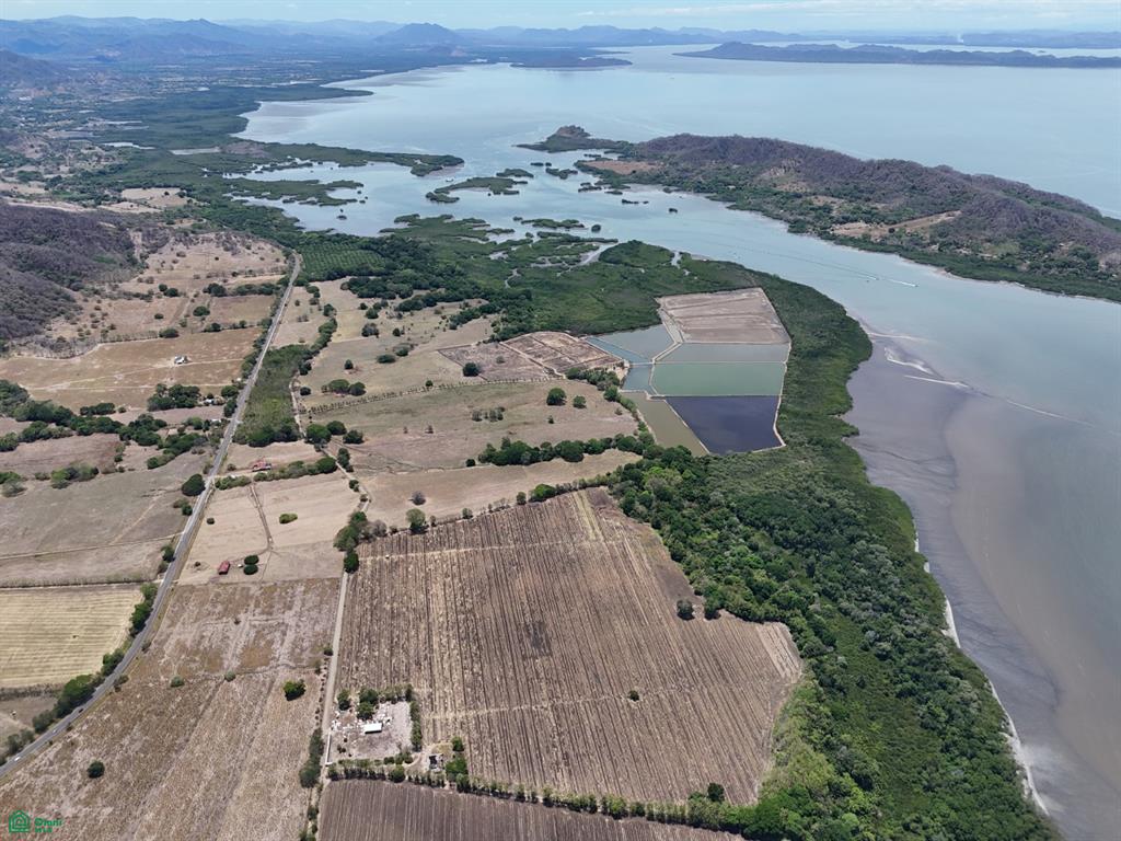 Loma Verde