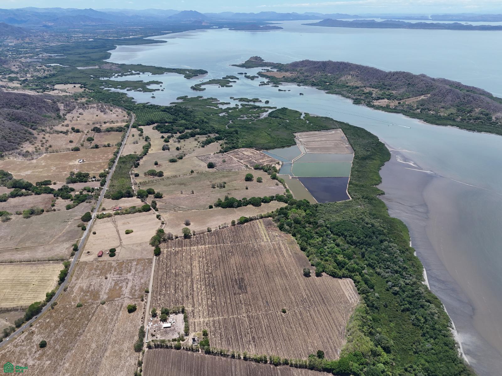 Loma Verde