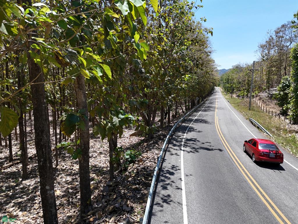 124 Acres Picco del Mar Paquera