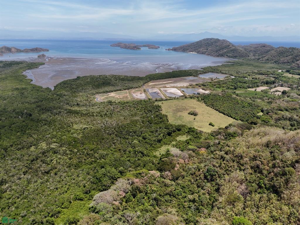 124 Acres Picco del Mar Paquera