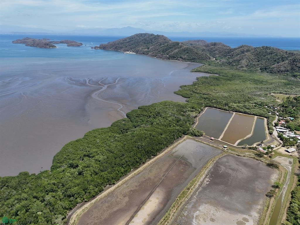 124 Acres Picco del Mar Paquera