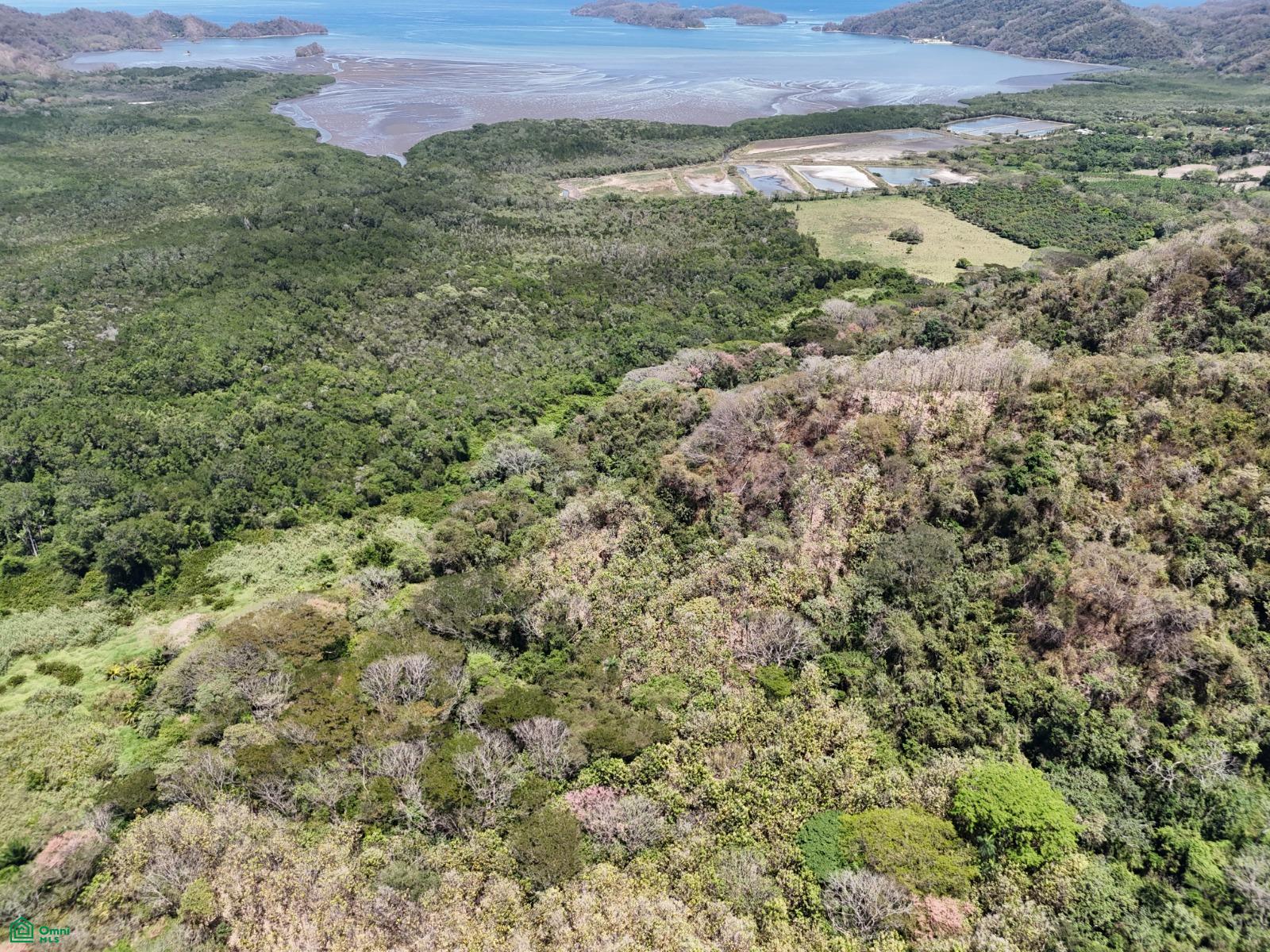124 Acres Picco del Mar Paquera