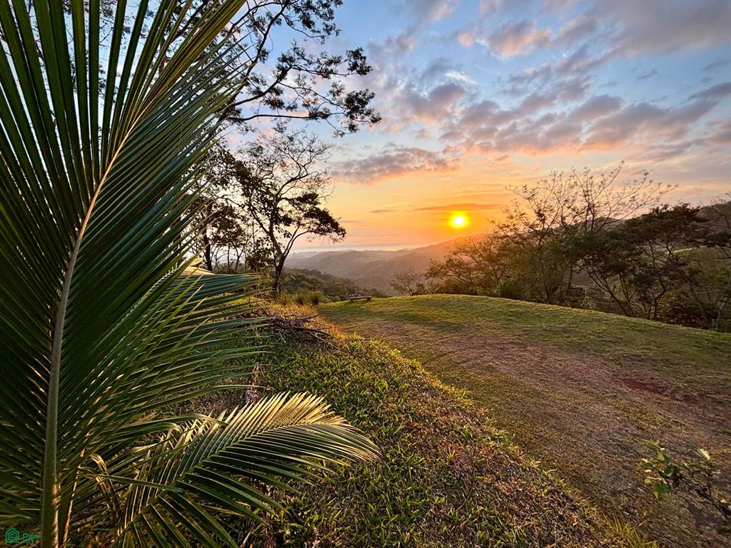 Nada Finca Naranjalito