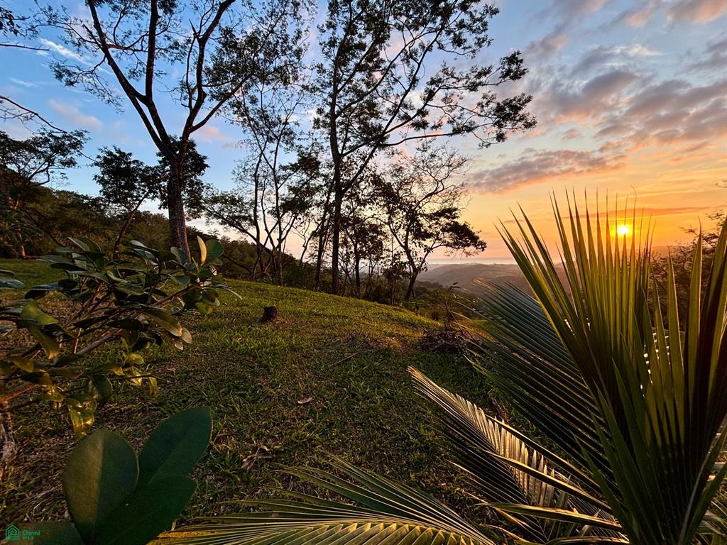 Nada Finca Naranjalito