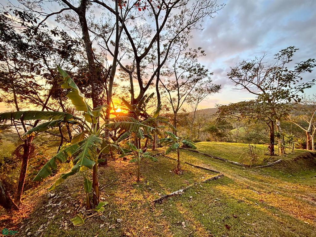 Nada Finca Naranjalito