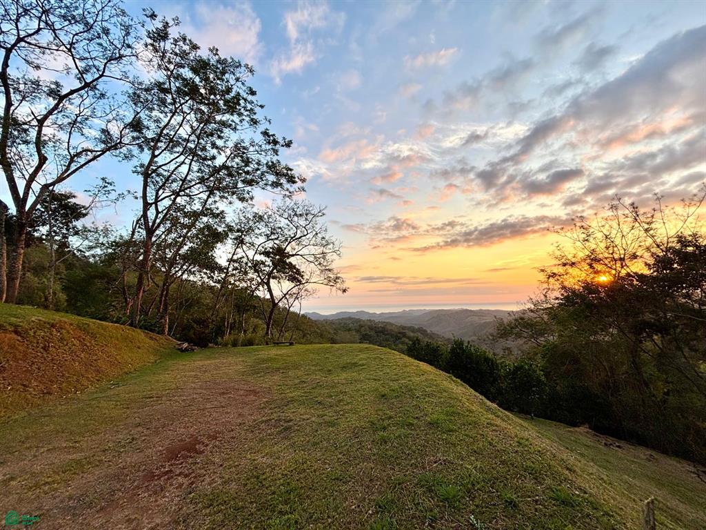 Nada Finca Naranjalito