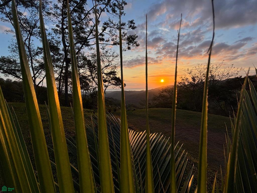 Nada Finca Naranjalito