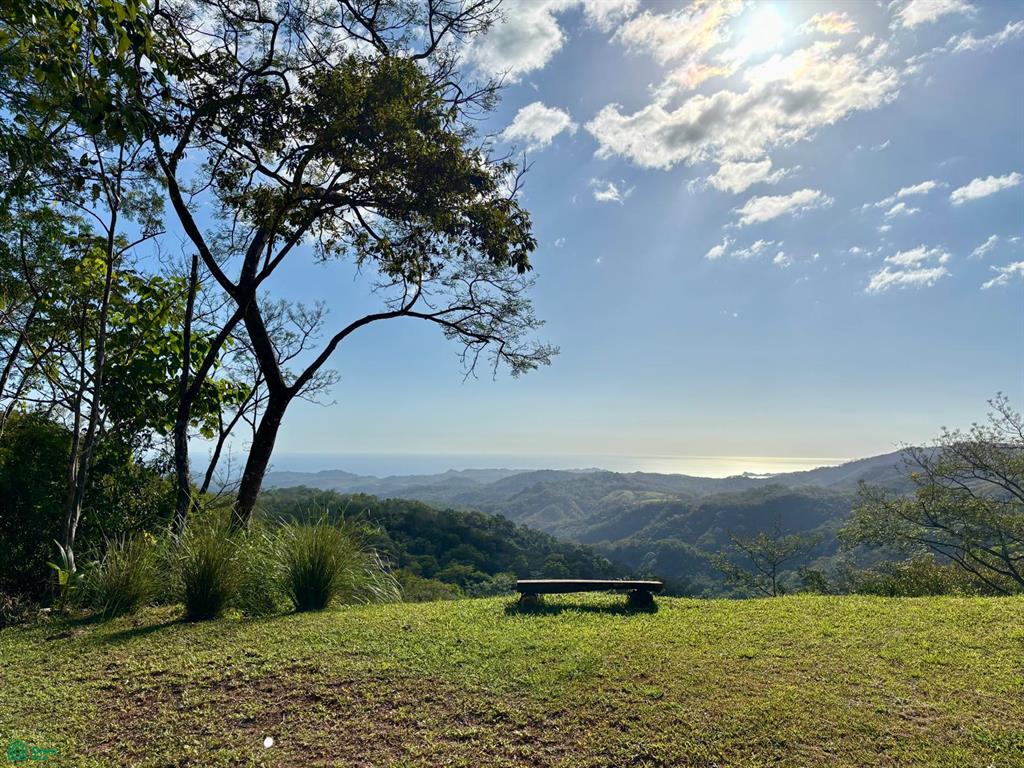 Nada Finca Naranjalito