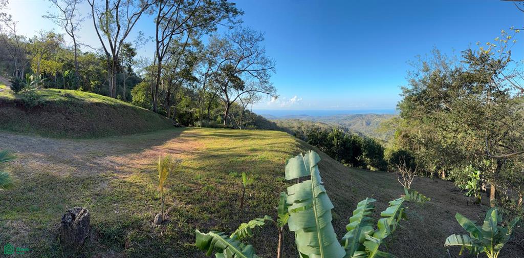 Nada Finca Naranjalito