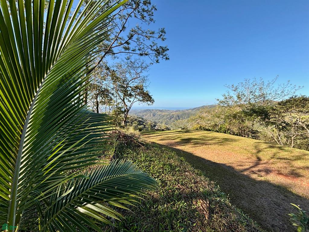 Nada Finca Naranjalito