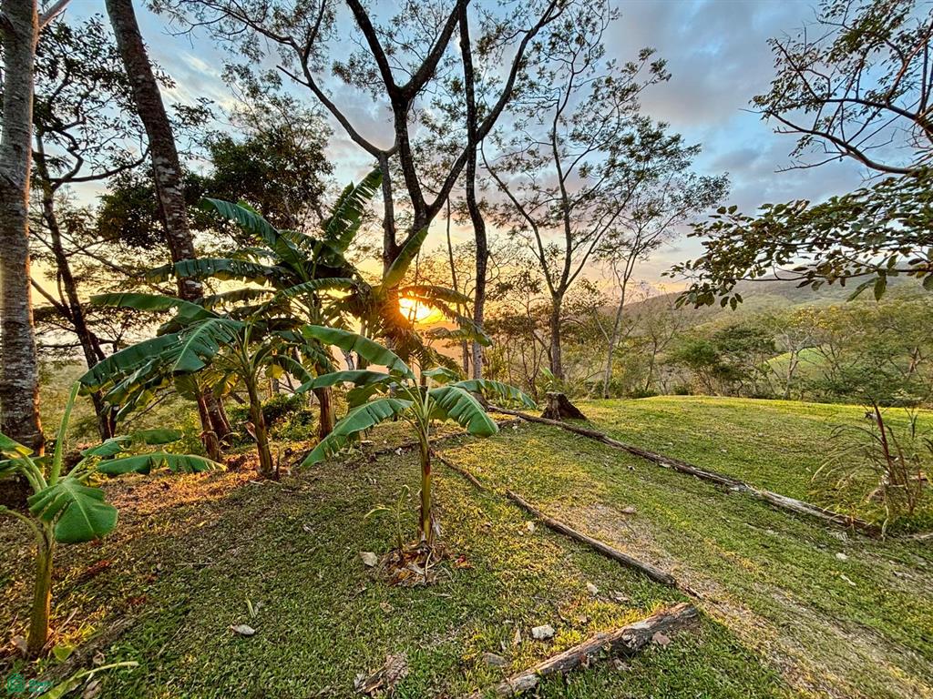 Nada Finca Naranjalito