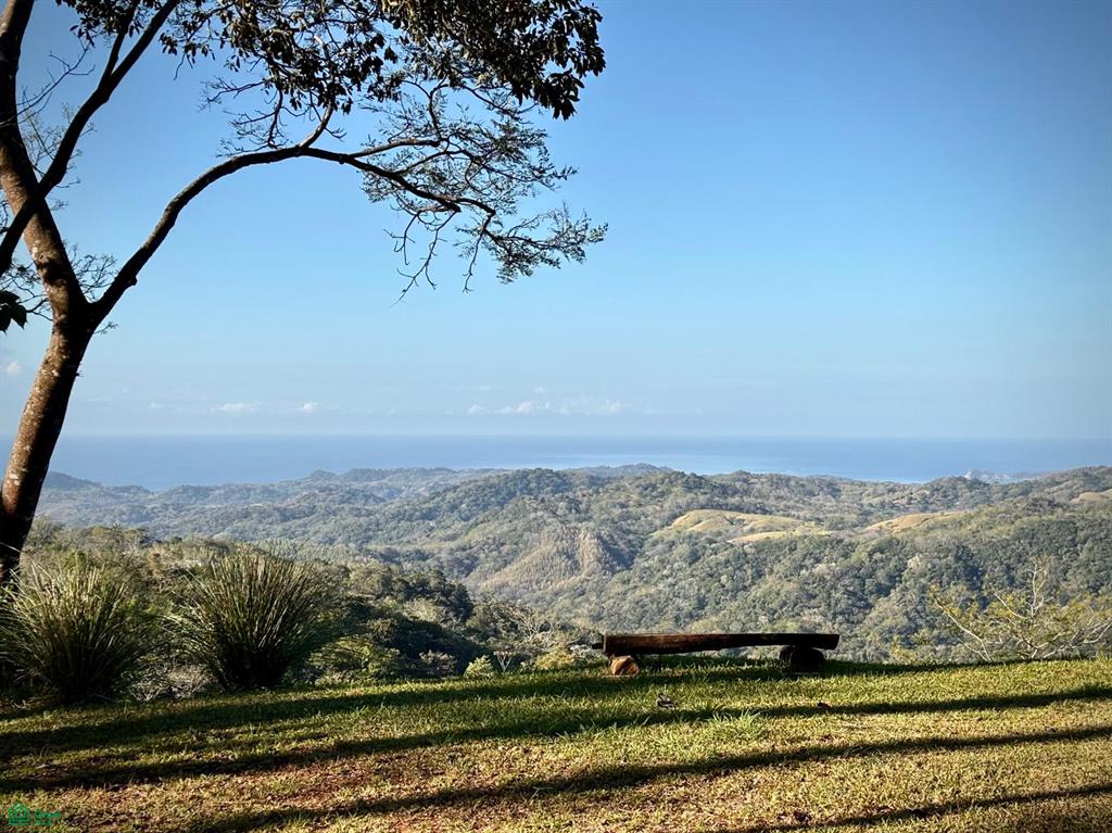 Nada Finca Naranjalito