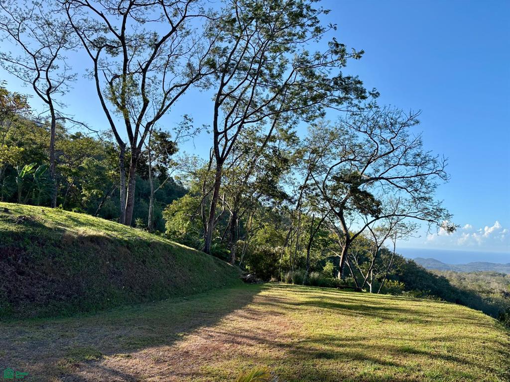 Nada Finca Naranjalito