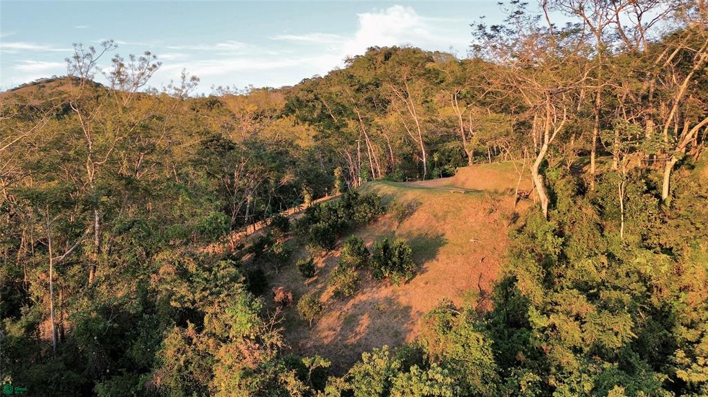 Nada Finca Naranjalito