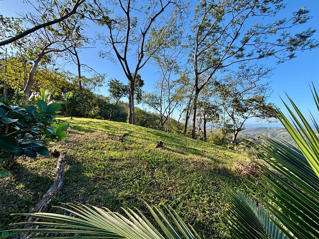 Nada Finca Naranjalito