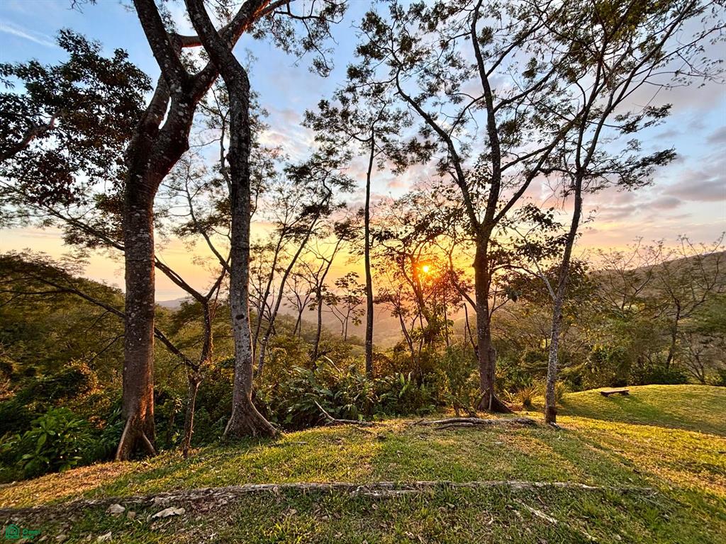 Nada Finca Naranjalito