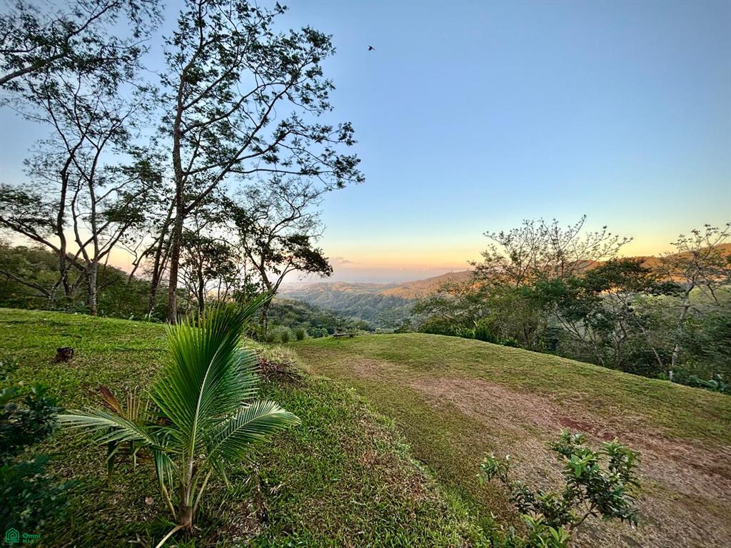 Nada Finca Naranjalito