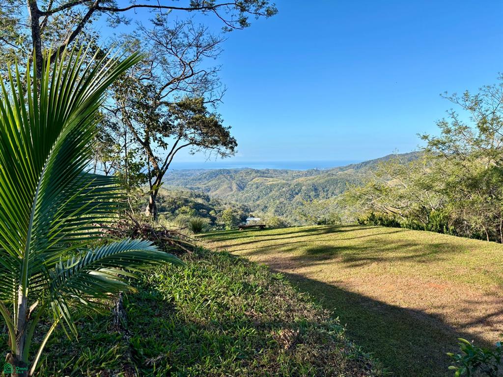 Nada Finca Naranjalito