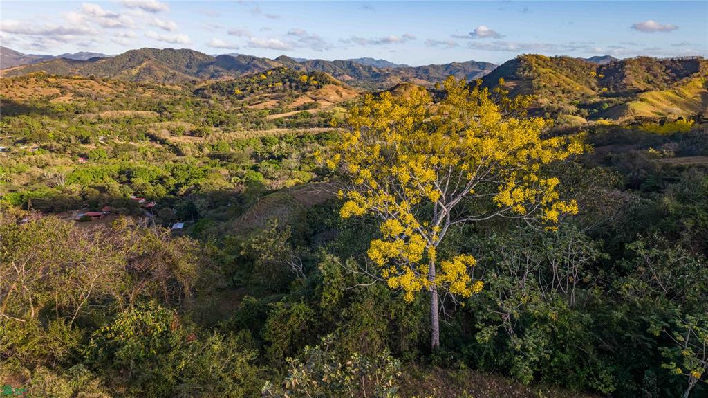 Lote Vista Verde Belen