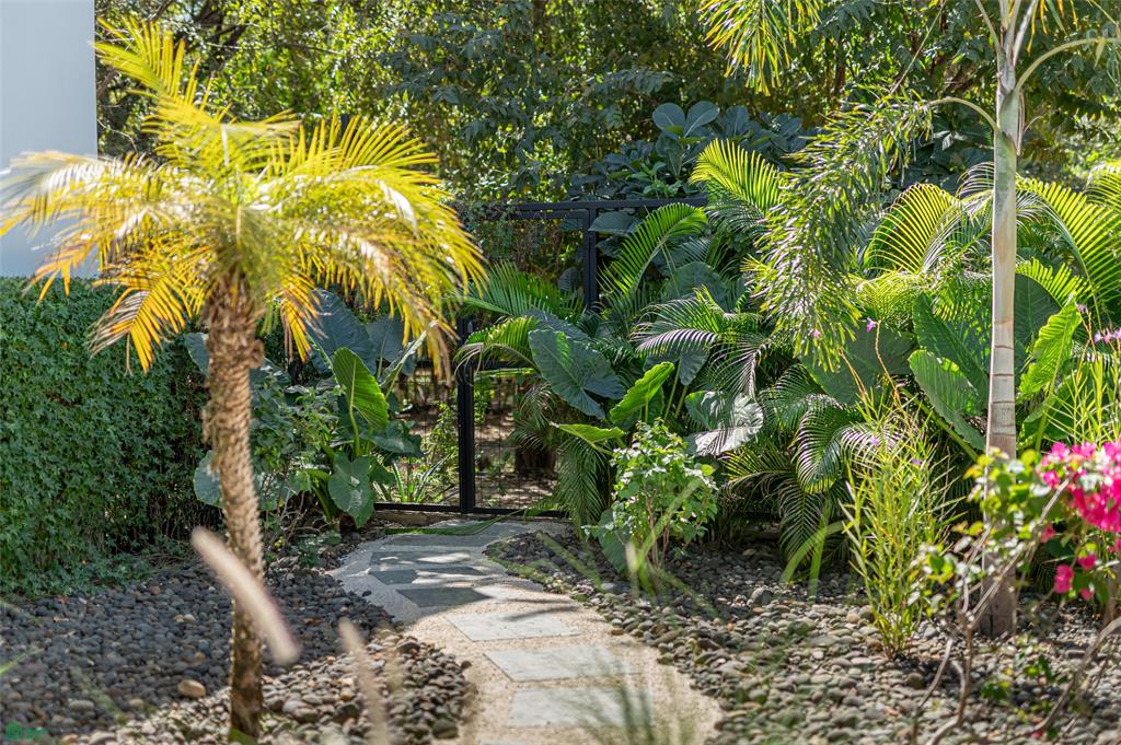 Vida Hermosa | A Private Sanctuary Steps from the Surf
