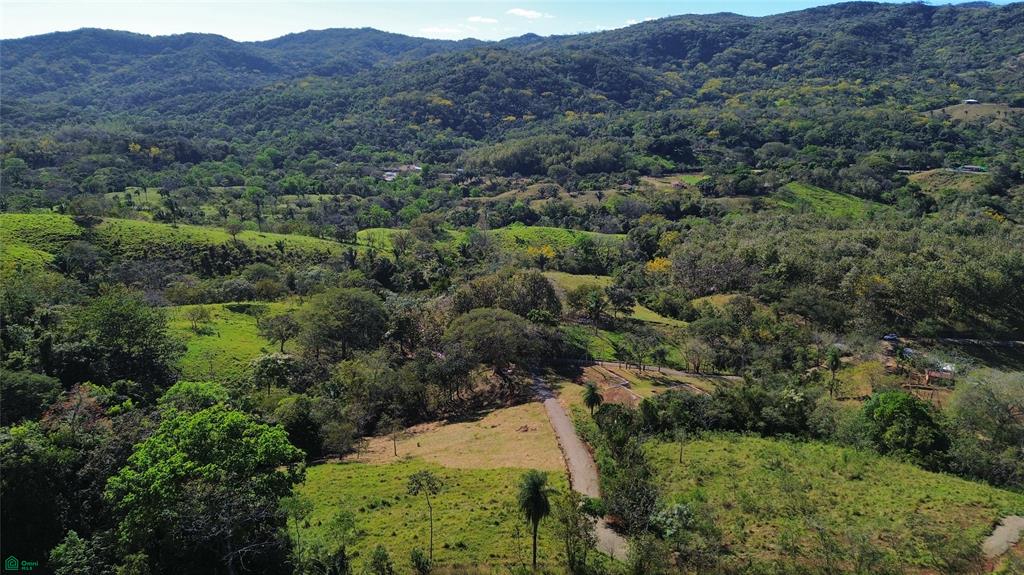 Finca Martine
