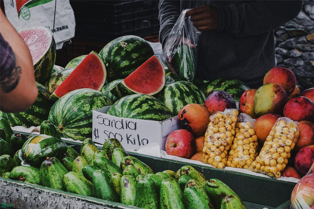 Profitable Wellness Retreat On Pacific Coast