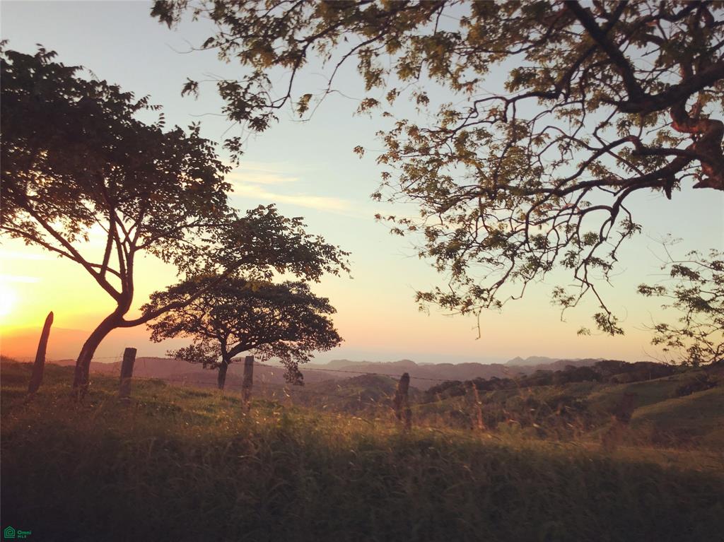 Profitable Wellness Retreat On Pacific Coast