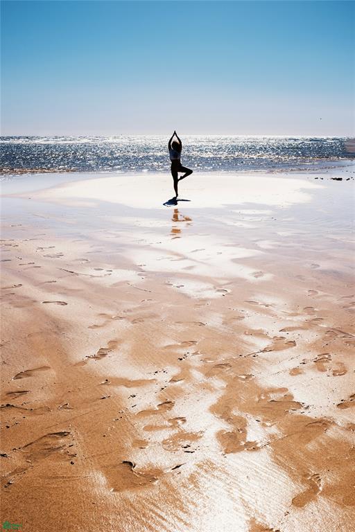 Profitable Wellness Retreat On Pacific Coast