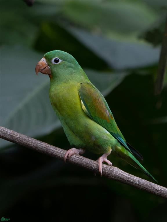 Profitable Wellness Retreat On Pacific Coast