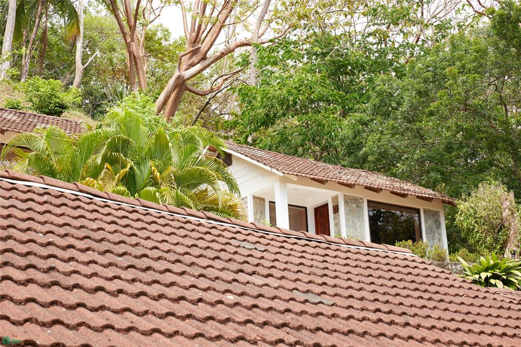 Profitable Wellness Retreat On Pacific Coast