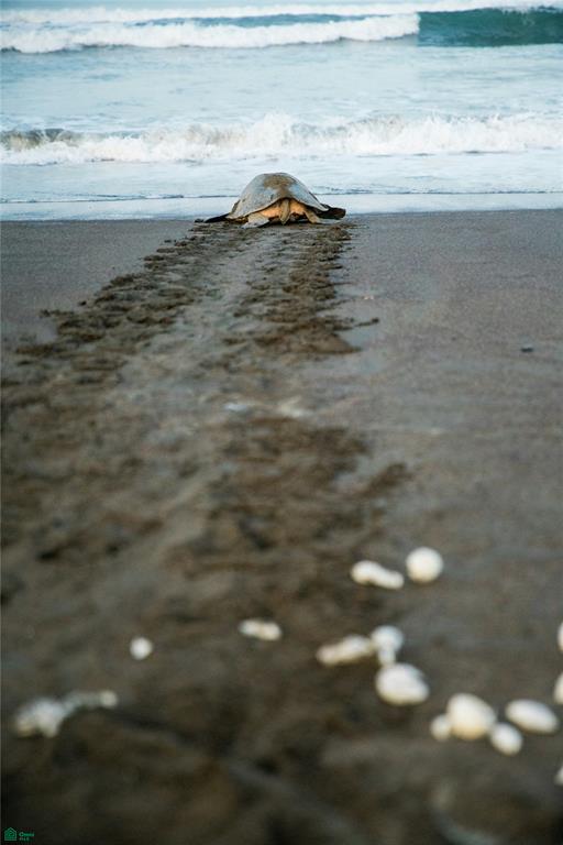 Profitable Wellness Retreat On Pacific Coast