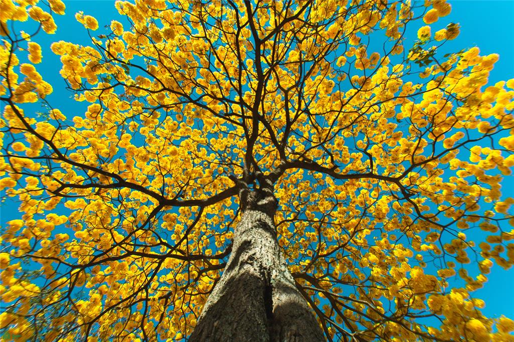 Profitable Wellness Retreat On Pacific Coast