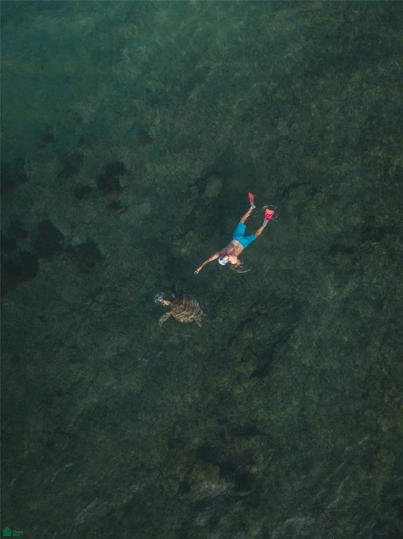 Profitable Wellness Retreat On Pacific Coast