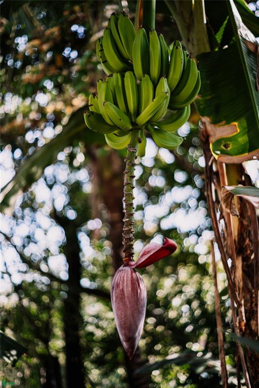 Profitable Wellness Retreat On Pacific Coast