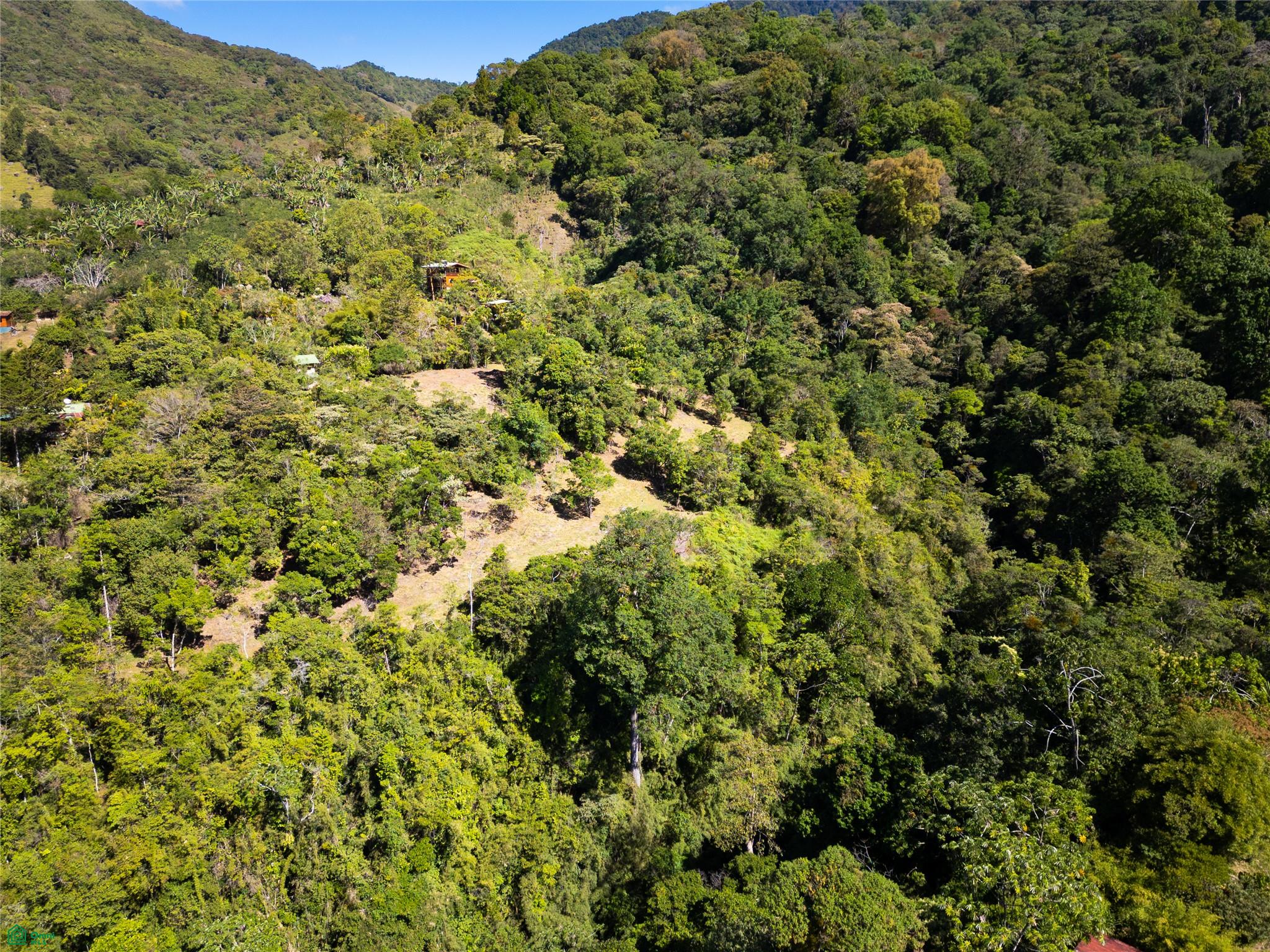 Finca Talamanca