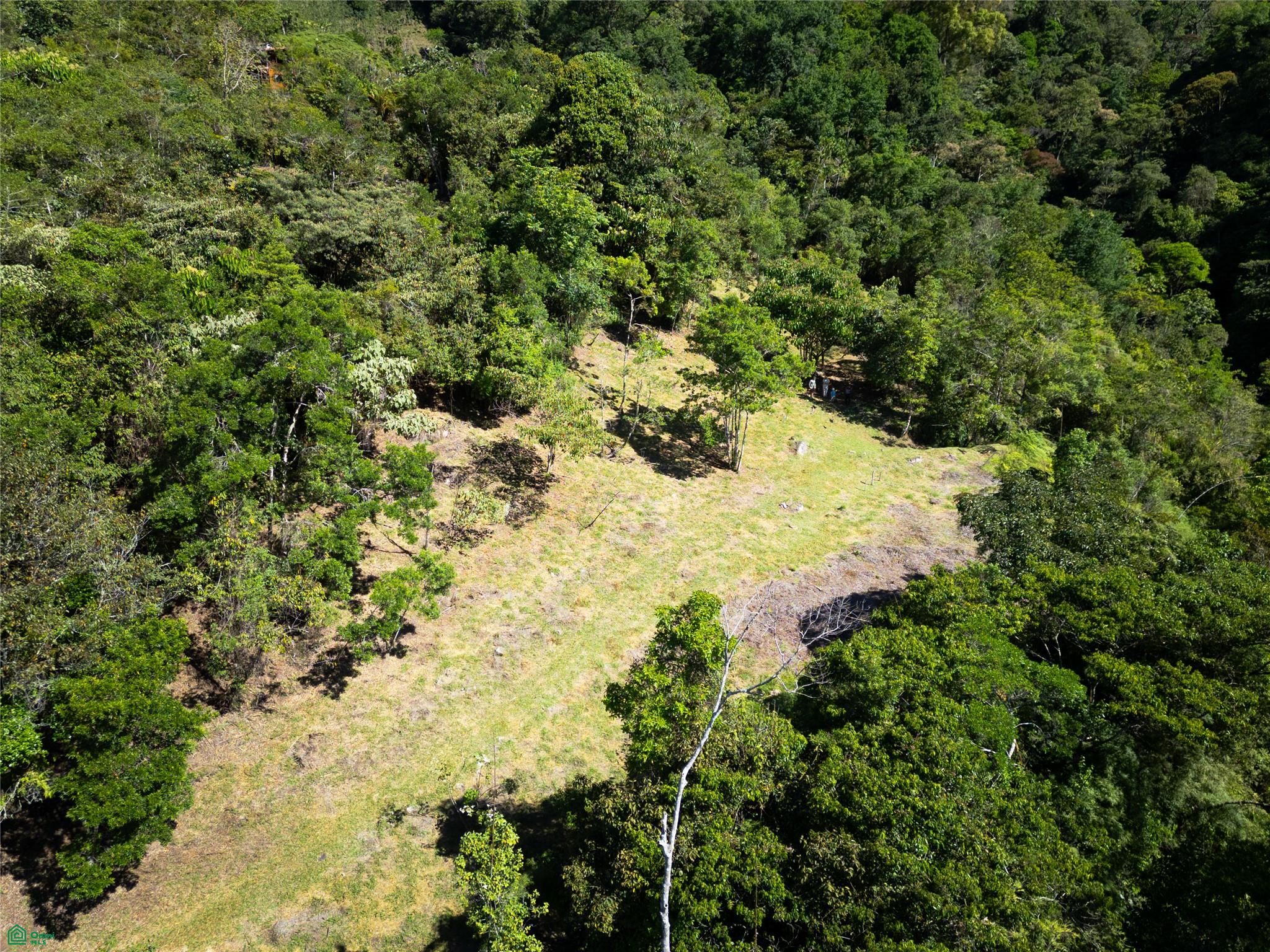 Finca Talamanca