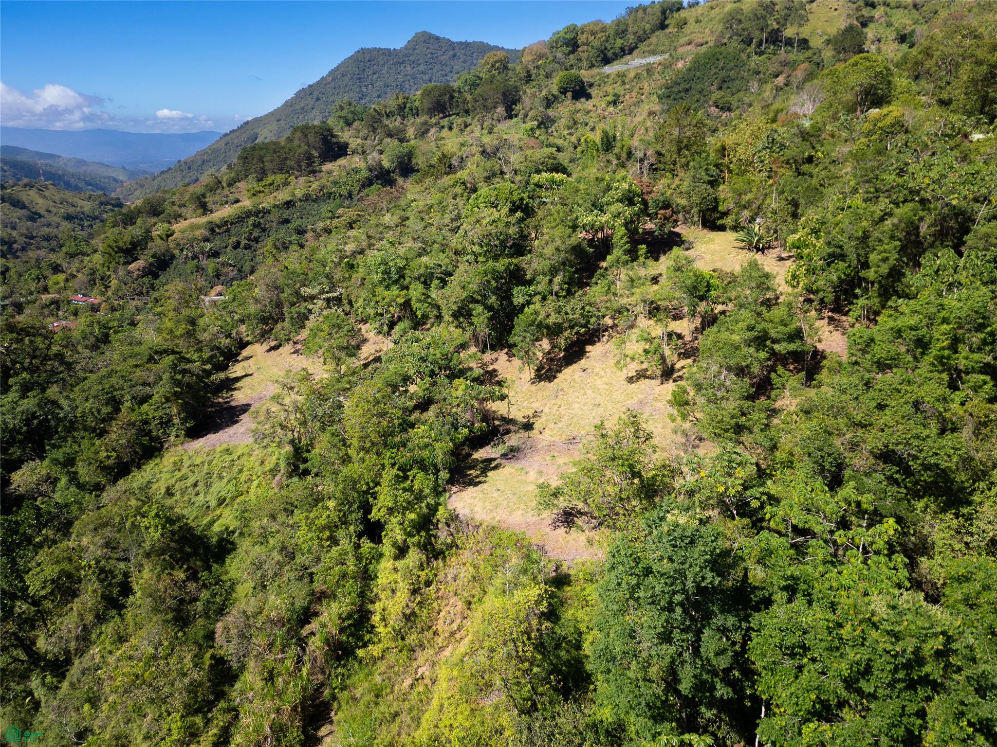 Finca Talamanca