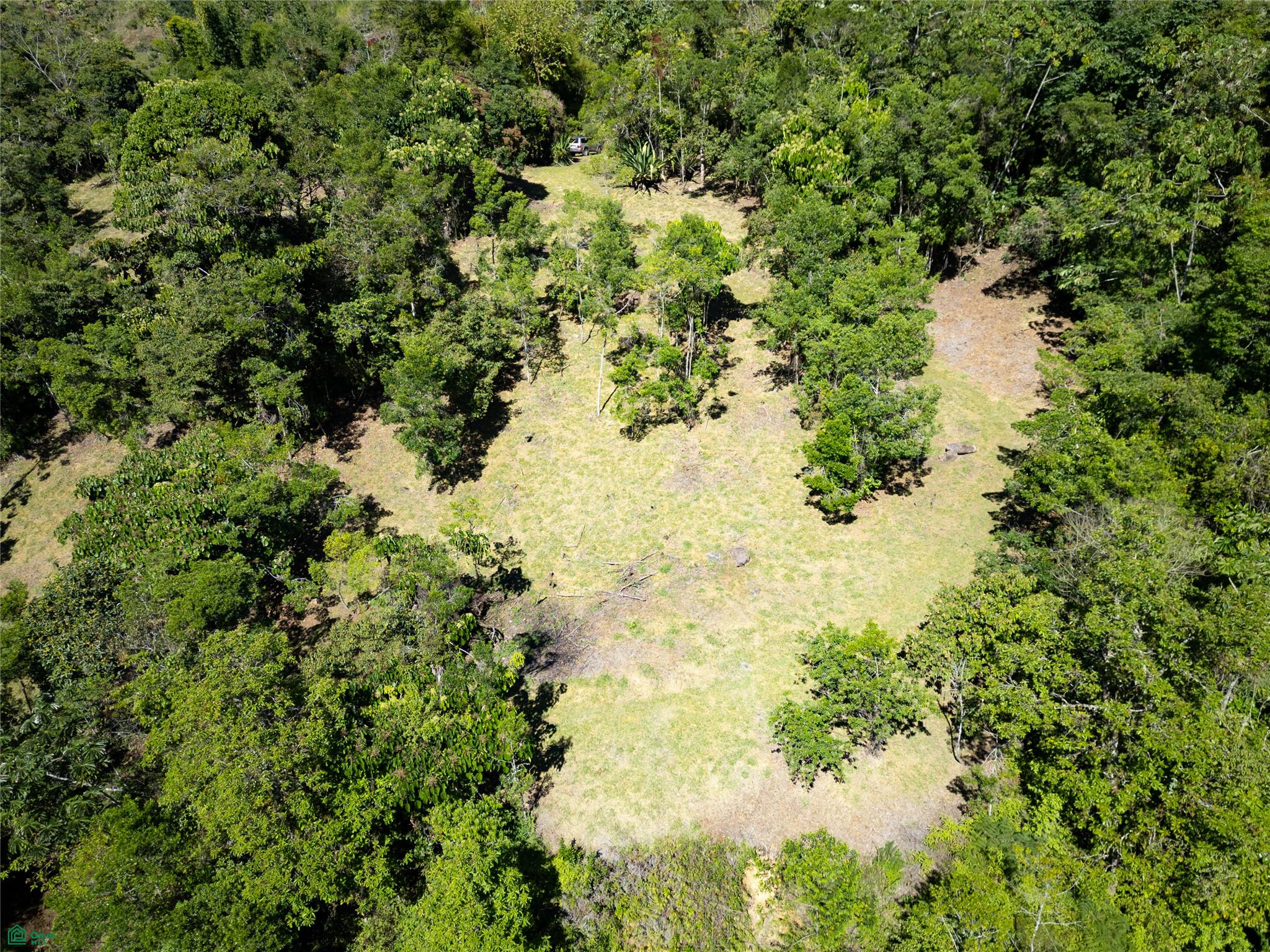 Finca Talamanca